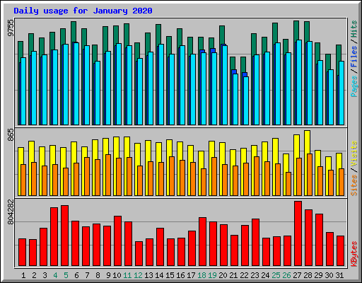 Daily usage for January 2020