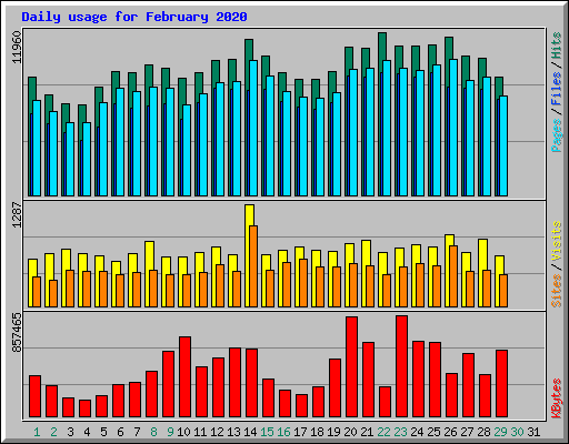 Daily usage for February 2020