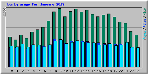 Hourly usage for January 2019