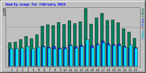 Hourly usage for February 2019